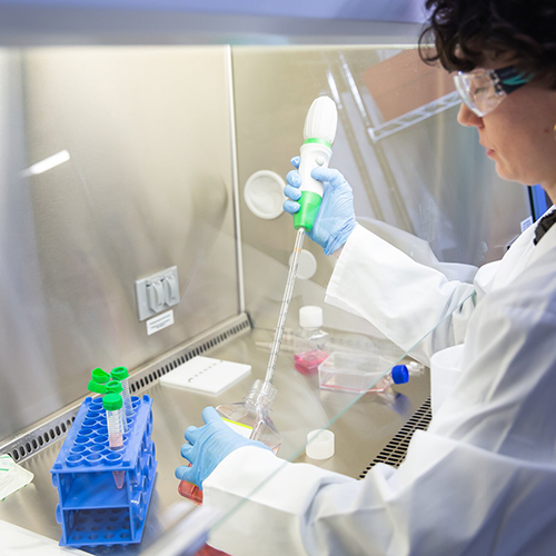 Biosafety Level 2 Lab Biosafety Level 2 Lab