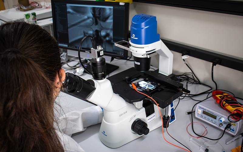 Rapid Testing and Measurement Rapid Testing and Measurement